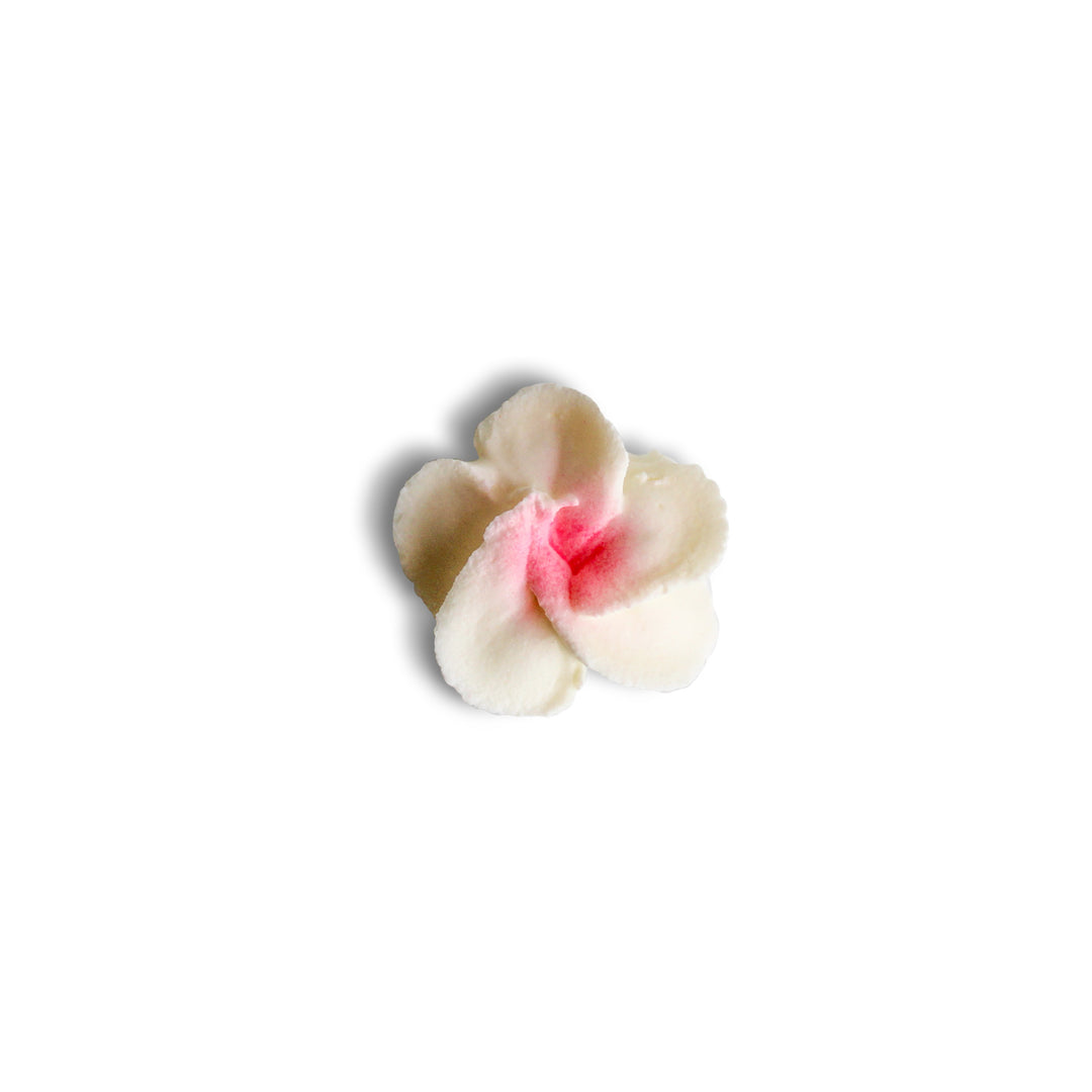 Royal Icing Hearts & Stars (8ct)