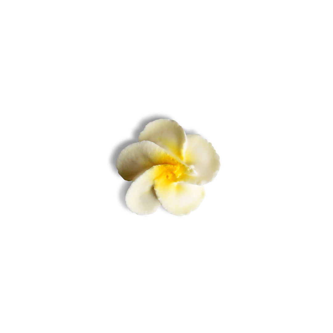 Royal Icing Pink & Yellow Plumerias (8ct)