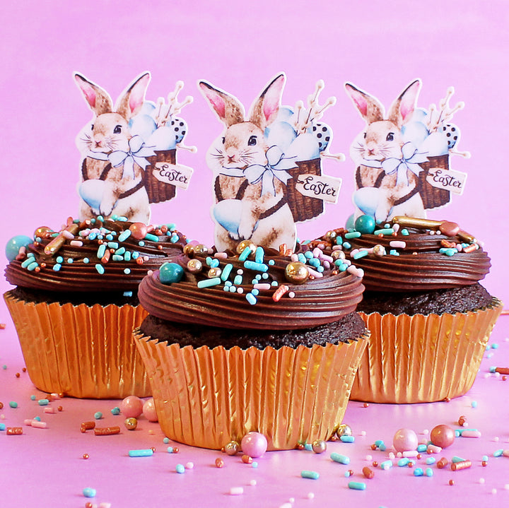Easter Rabbit Cupcake Kit